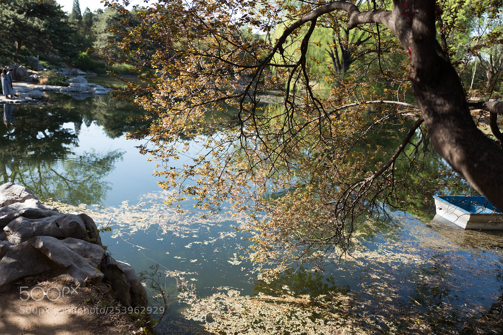 Leica Q (Typ 116) sample photo. L photography