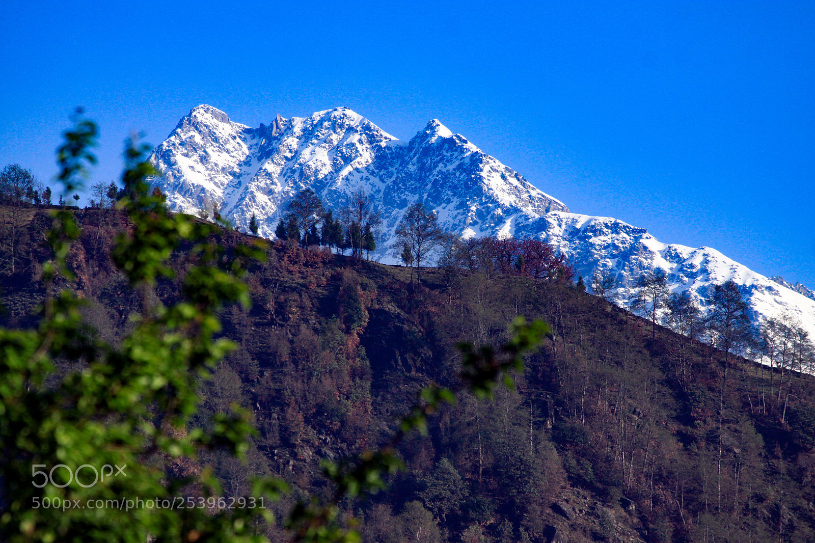 Canon EOS 50D sample photo. Himalayas, as seen from photography