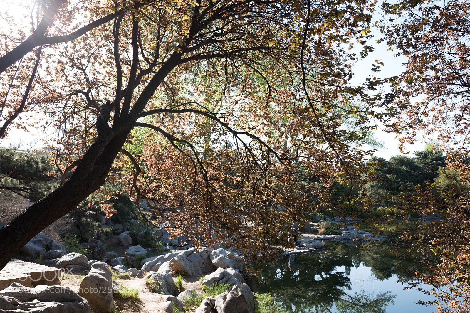 Leica Q (Typ 116) sample photo. L photography