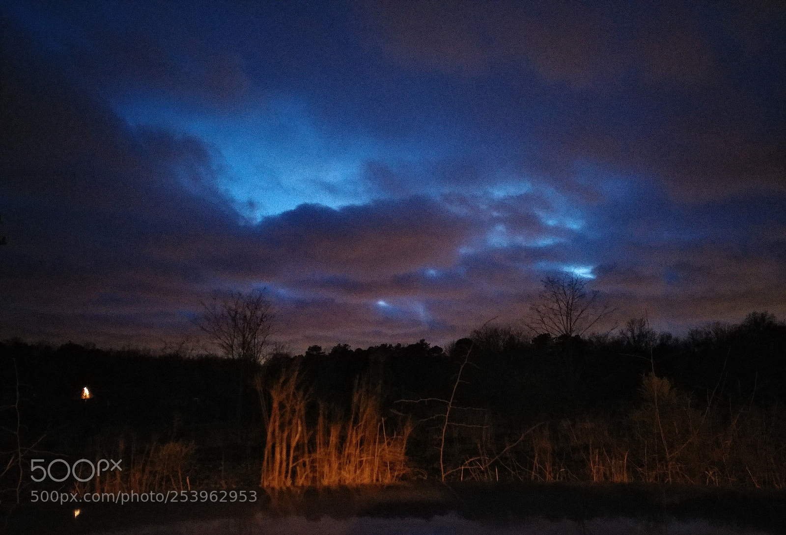 LG V20 sample photo. Blues clues photography