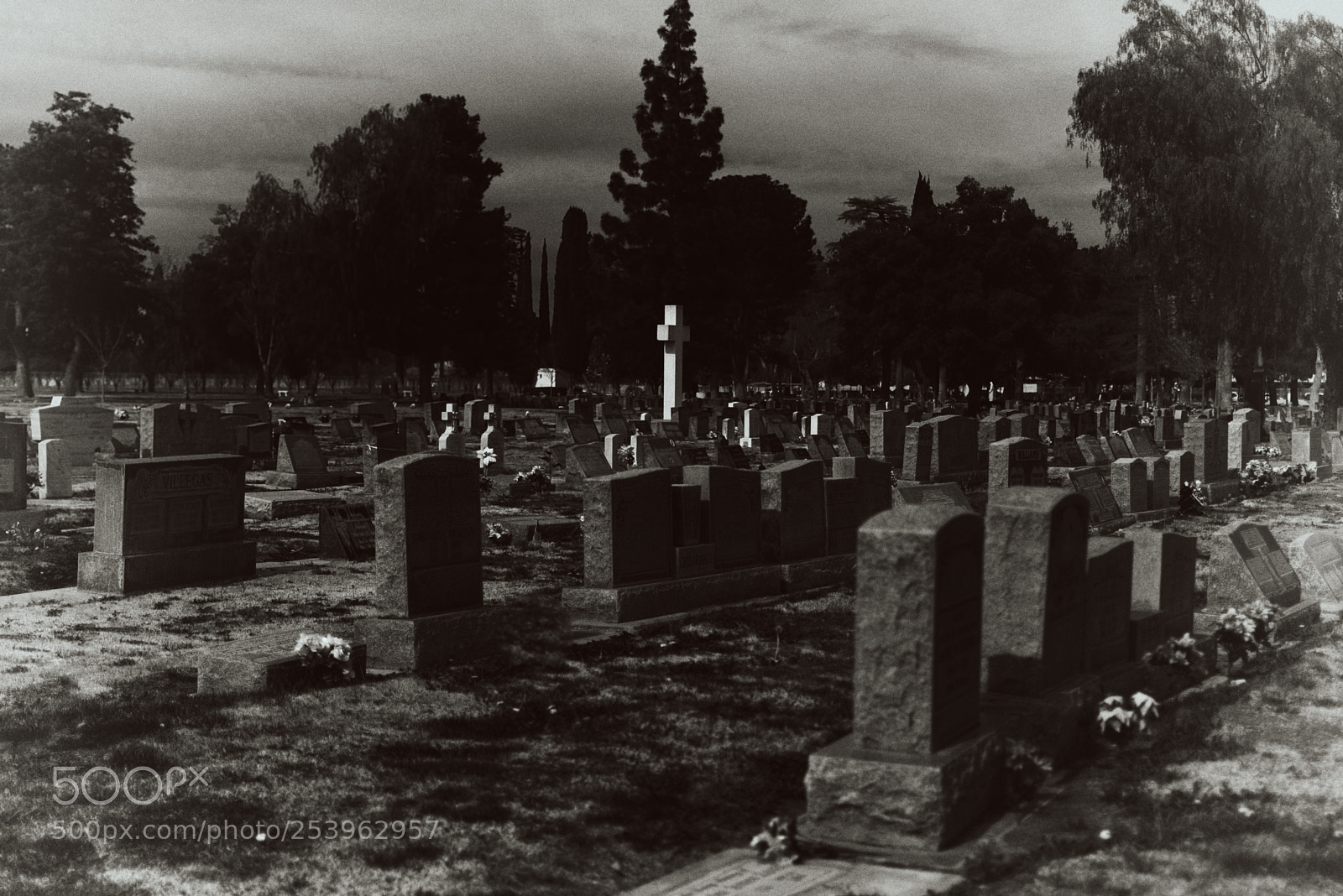 Nikon D3400 sample photo. Bakersfield cemetery photography