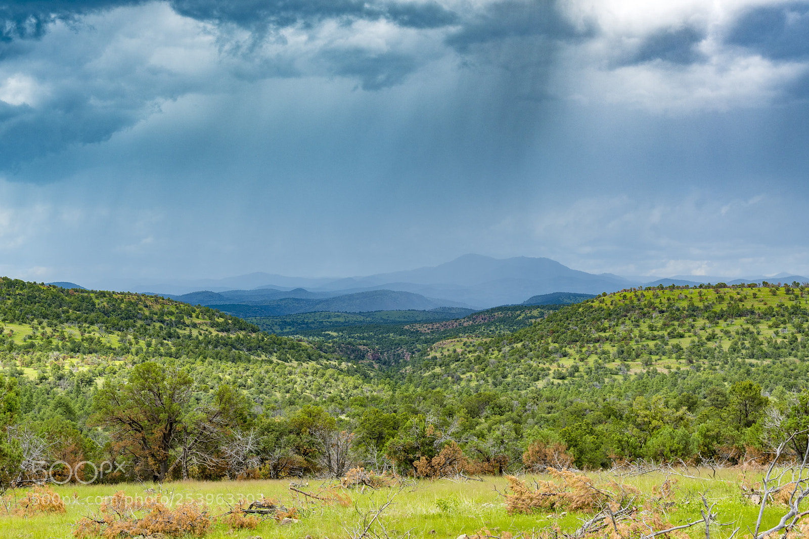 Nikon D500 sample photo. Rain on the way photography
