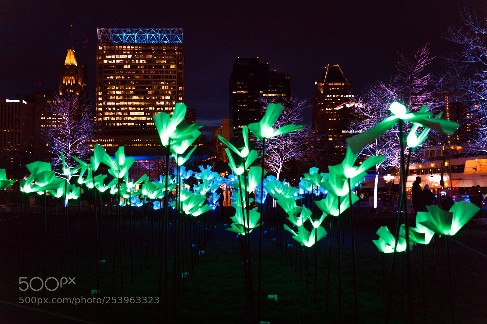 Canon EOS 5D Mark IV sample photo. Light city baltimore photography