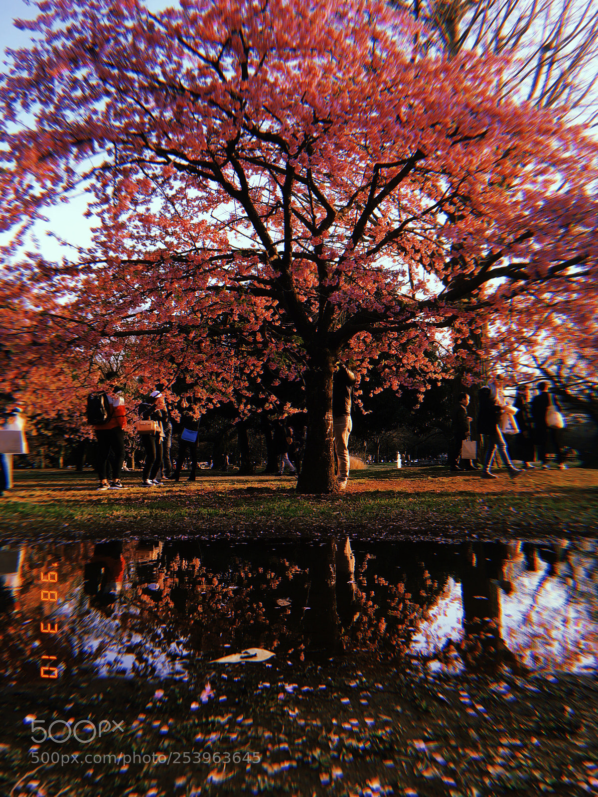 Apple iPhone sample photo. Untitled photography