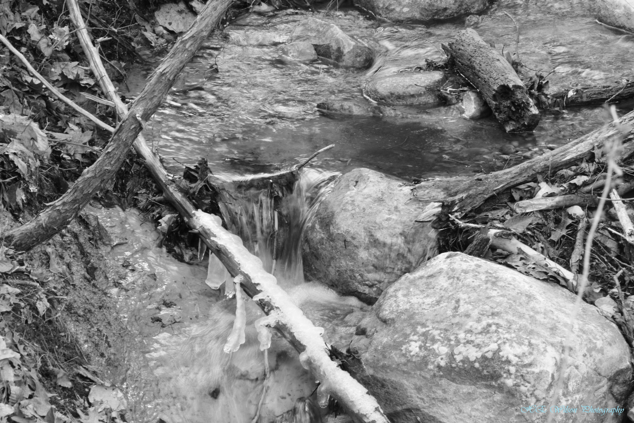 Nikon D3300 sample photo. Bubbling creek photography