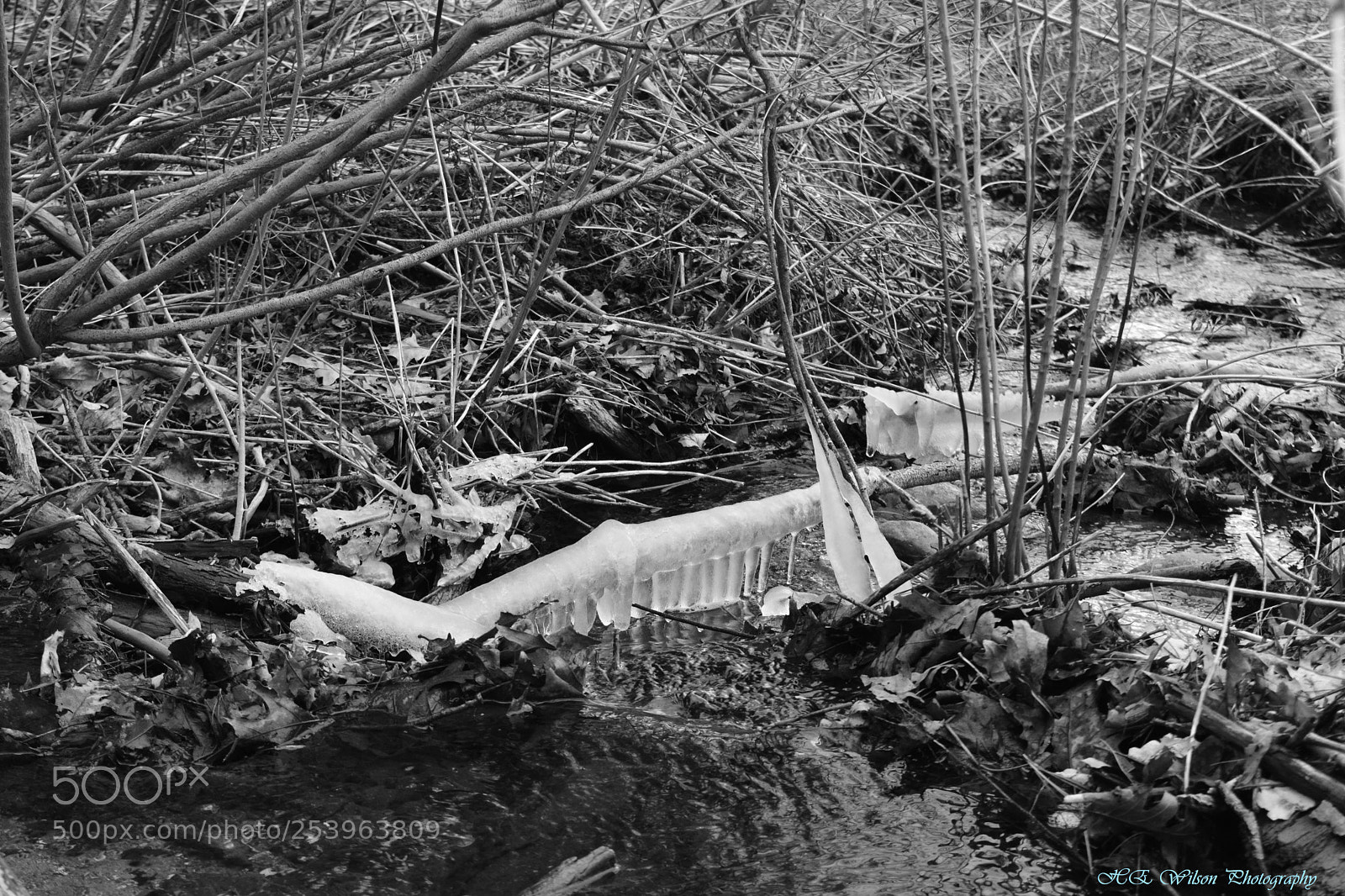 Nikon D3300 sample photo. Frosty stream photography