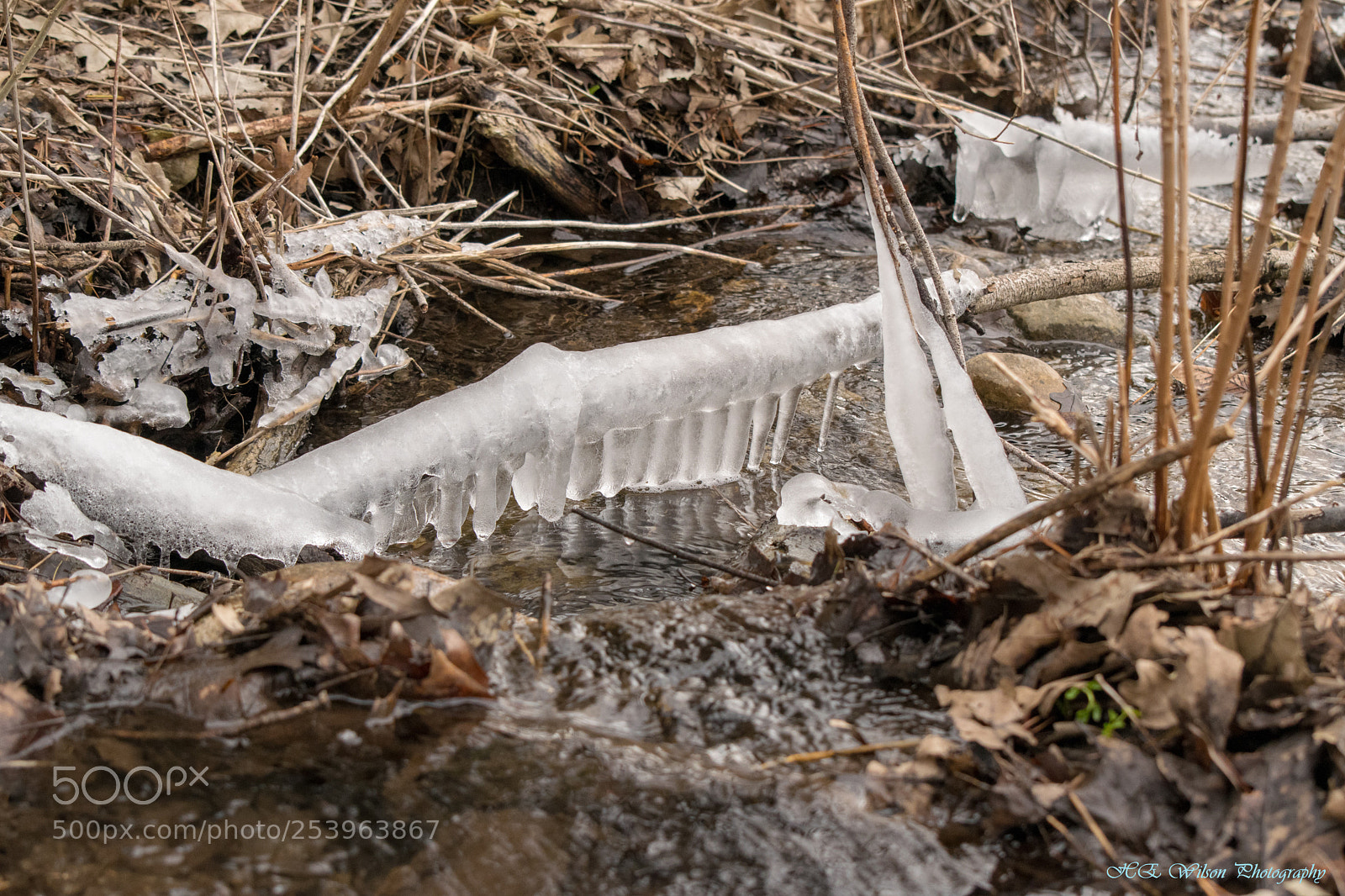 Nikon D3300 sample photo. Frosty stream photography