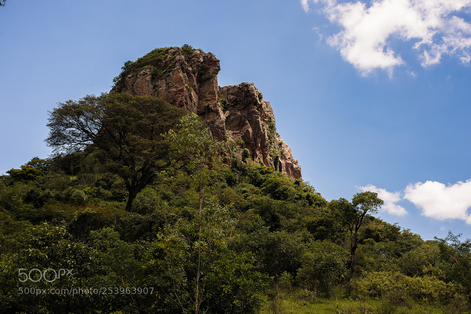 Nikon D7200 sample photo. Morro do cuscuzeiro photography