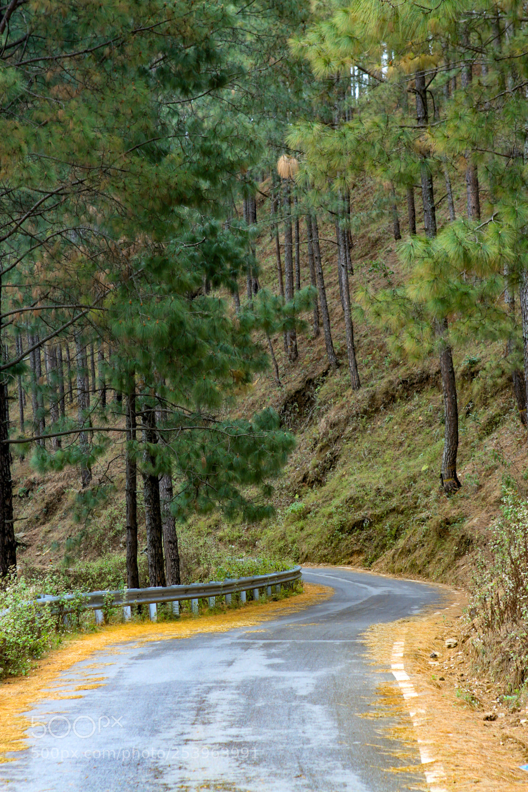 Canon EOS 50D sample photo. Views along almora-pithoragarh highway photography