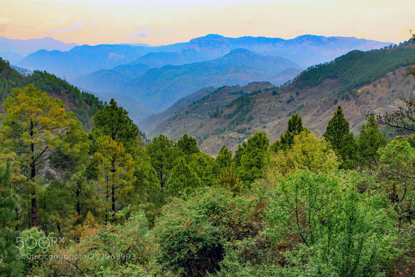 Canon EOS 50D sample photo. Views along almora-pithoragarh highway photography