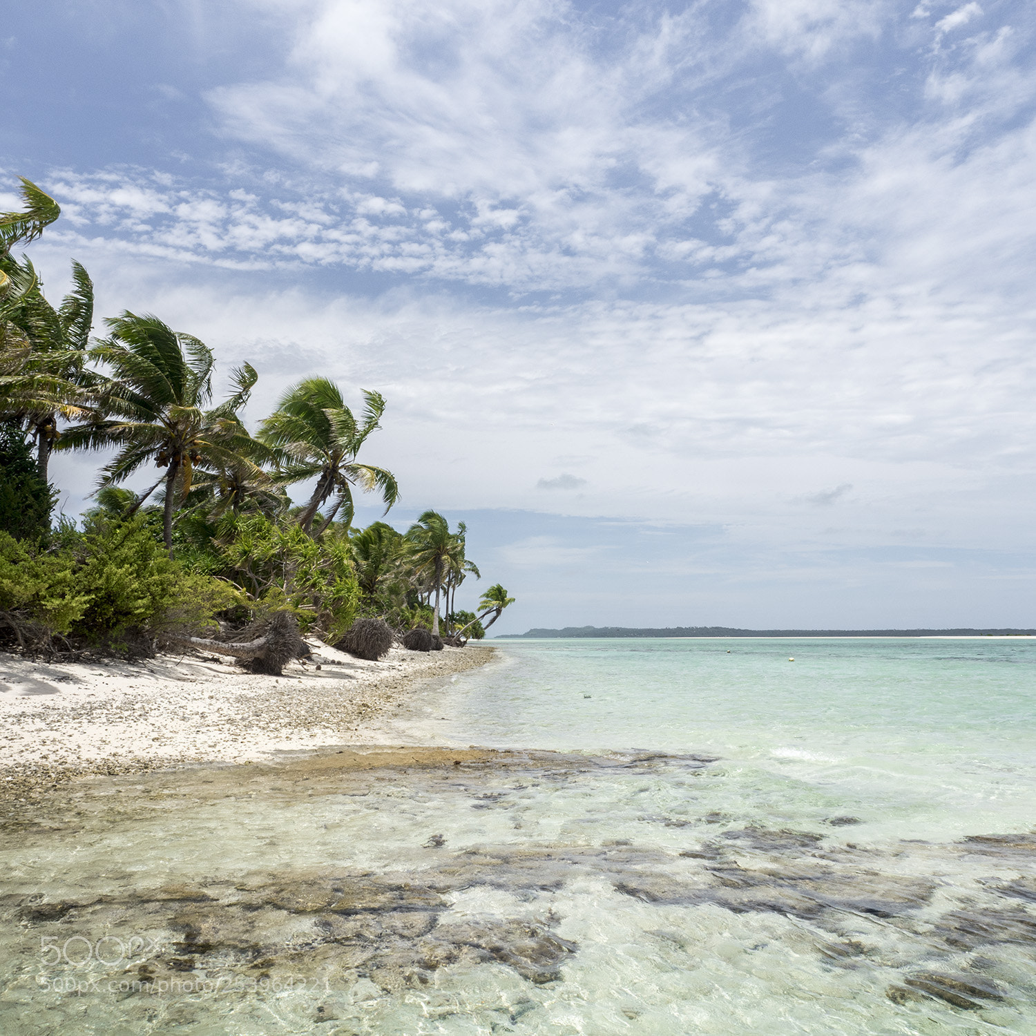 Olympus OM-D E-M5 II sample photo. Aitutaki photography