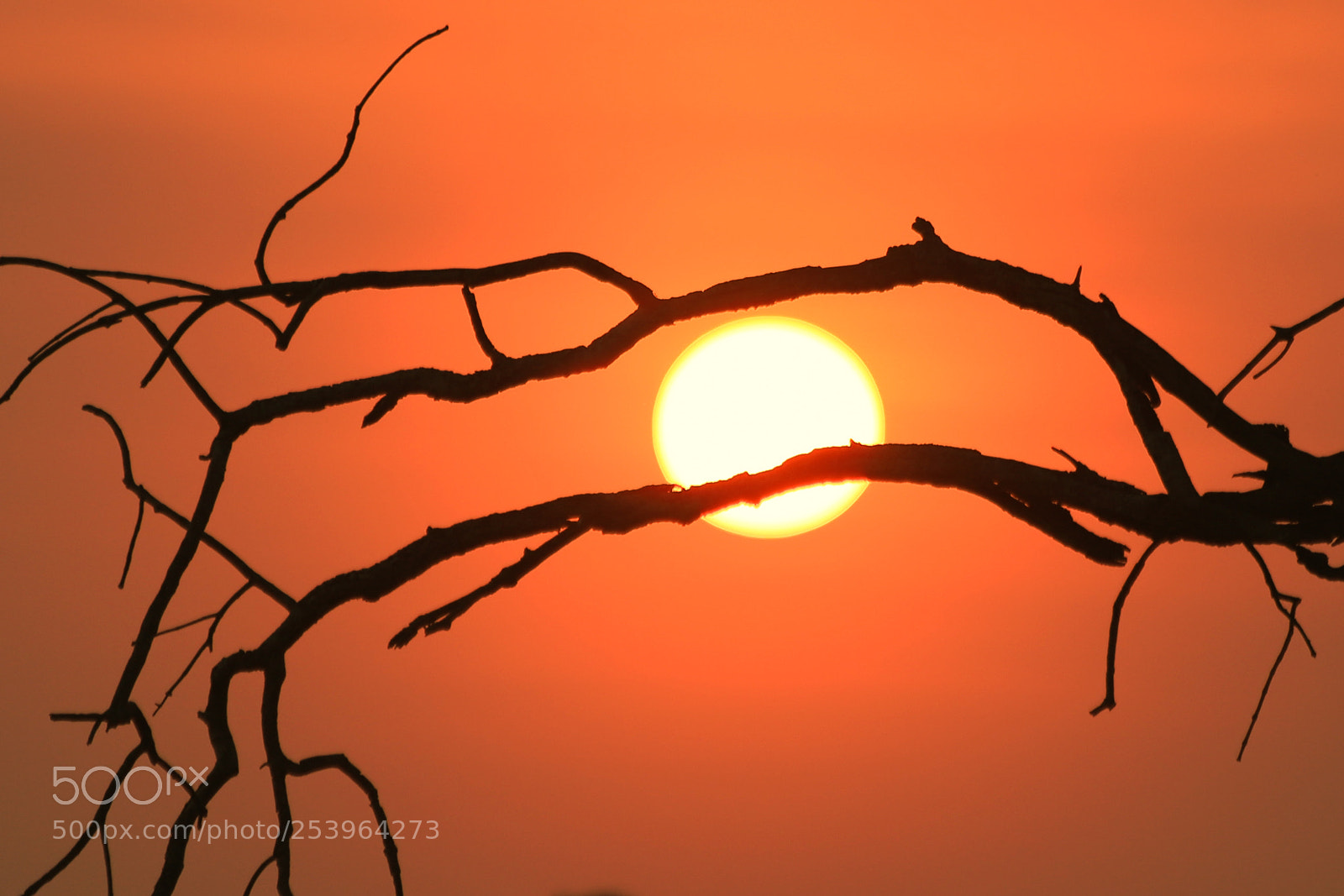 Canon EOS 6D Mark II sample photo. Img photography