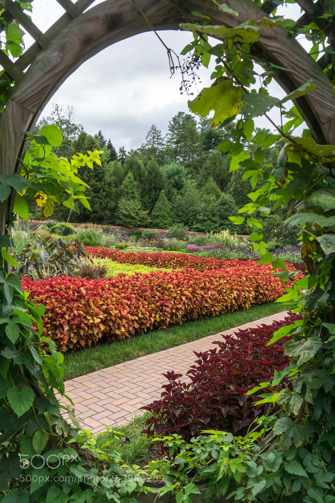 Sony a6000 sample photo. Biltmore gardens1 photography