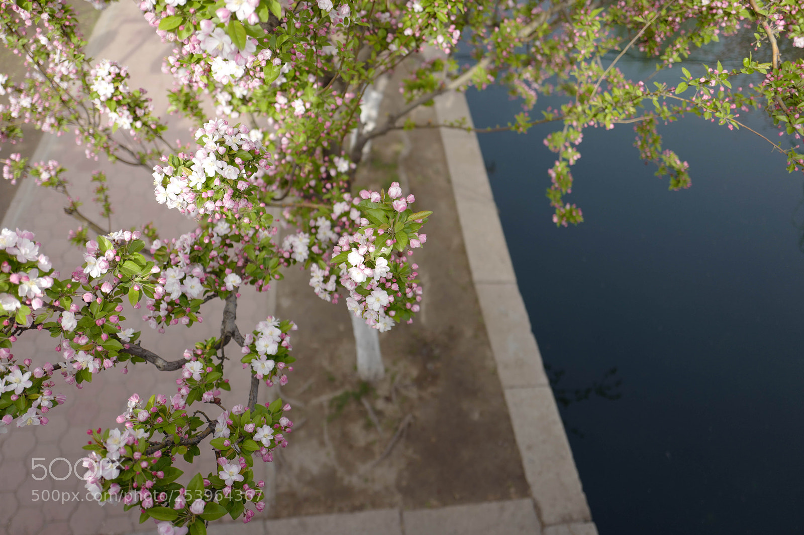 Leica Q (Typ 116) sample photo. L1050681-2.jpg photography