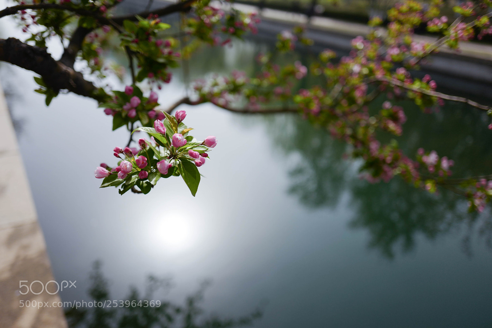 Leica Q (Typ 116) sample photo. L1050767-2.jpg photography