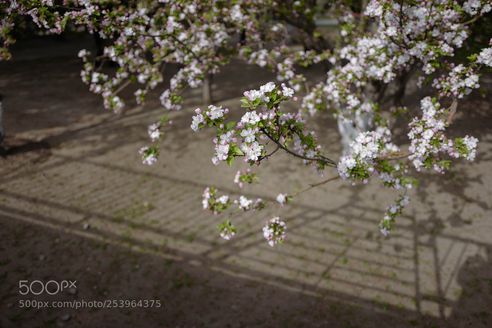 Leica Q (Typ 116) sample photo. L1050690-2.jpg photography
