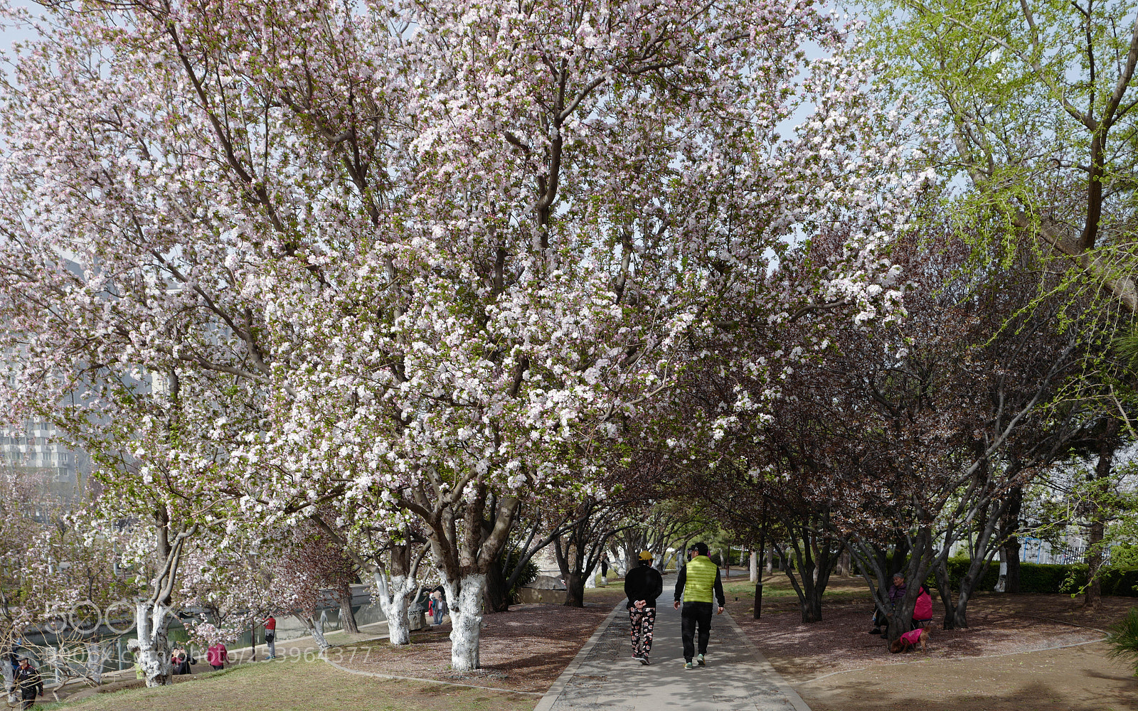 Leica Q (Typ 116) sample photo. L1050713-2.jpg photography