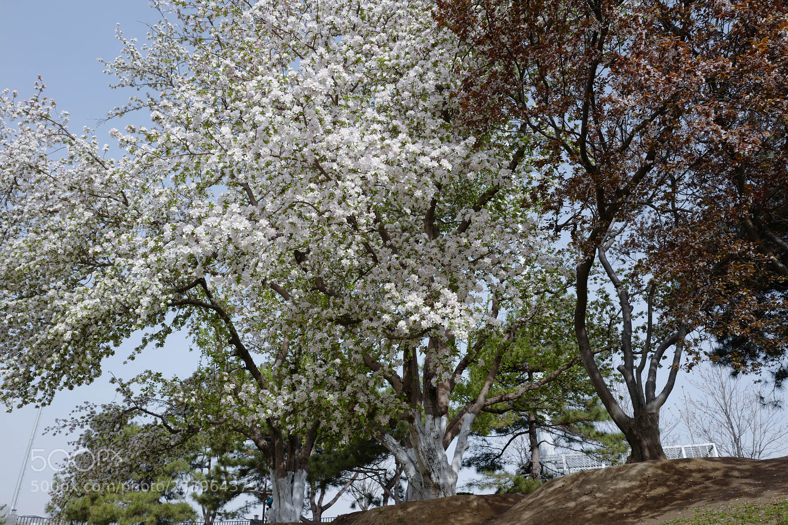 Leica Q (Typ 116) sample photo. L1050760-2.jpg photography