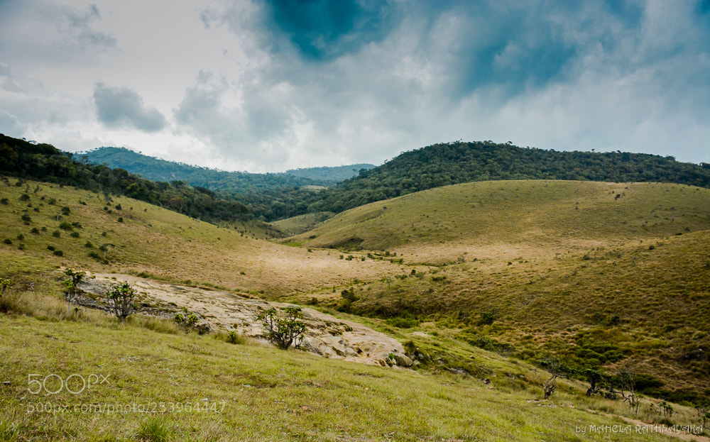 Nikon D7100 sample photo. Hortan plane photography