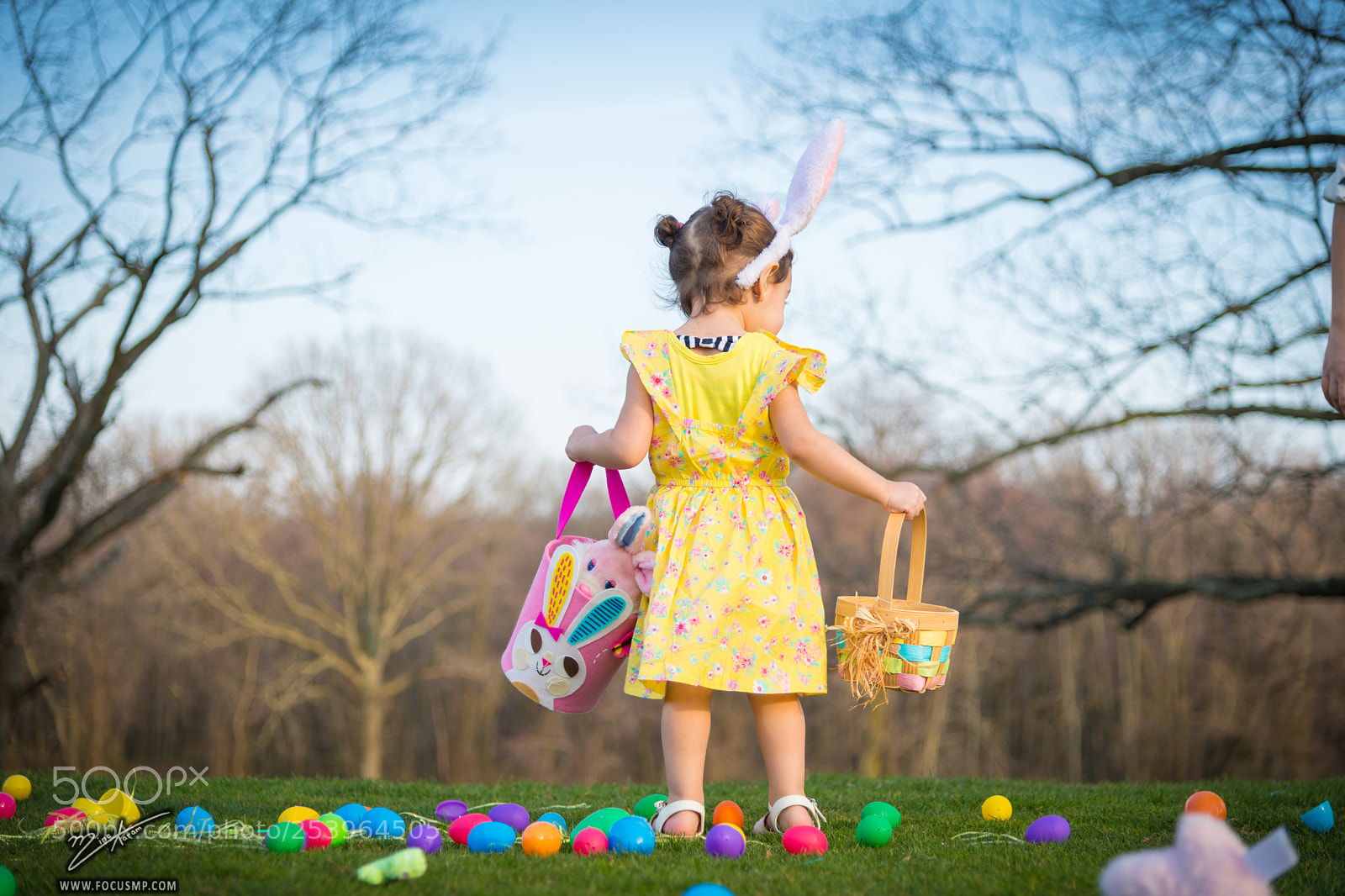 Nikon D850 sample photo. Happy easter photography