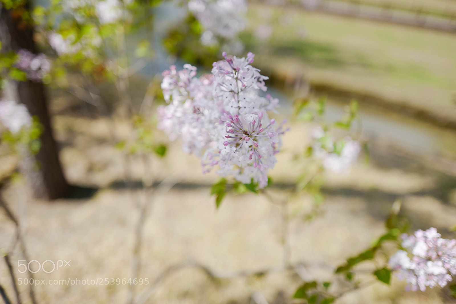 Leica Q (Typ 116) sample photo. L photography