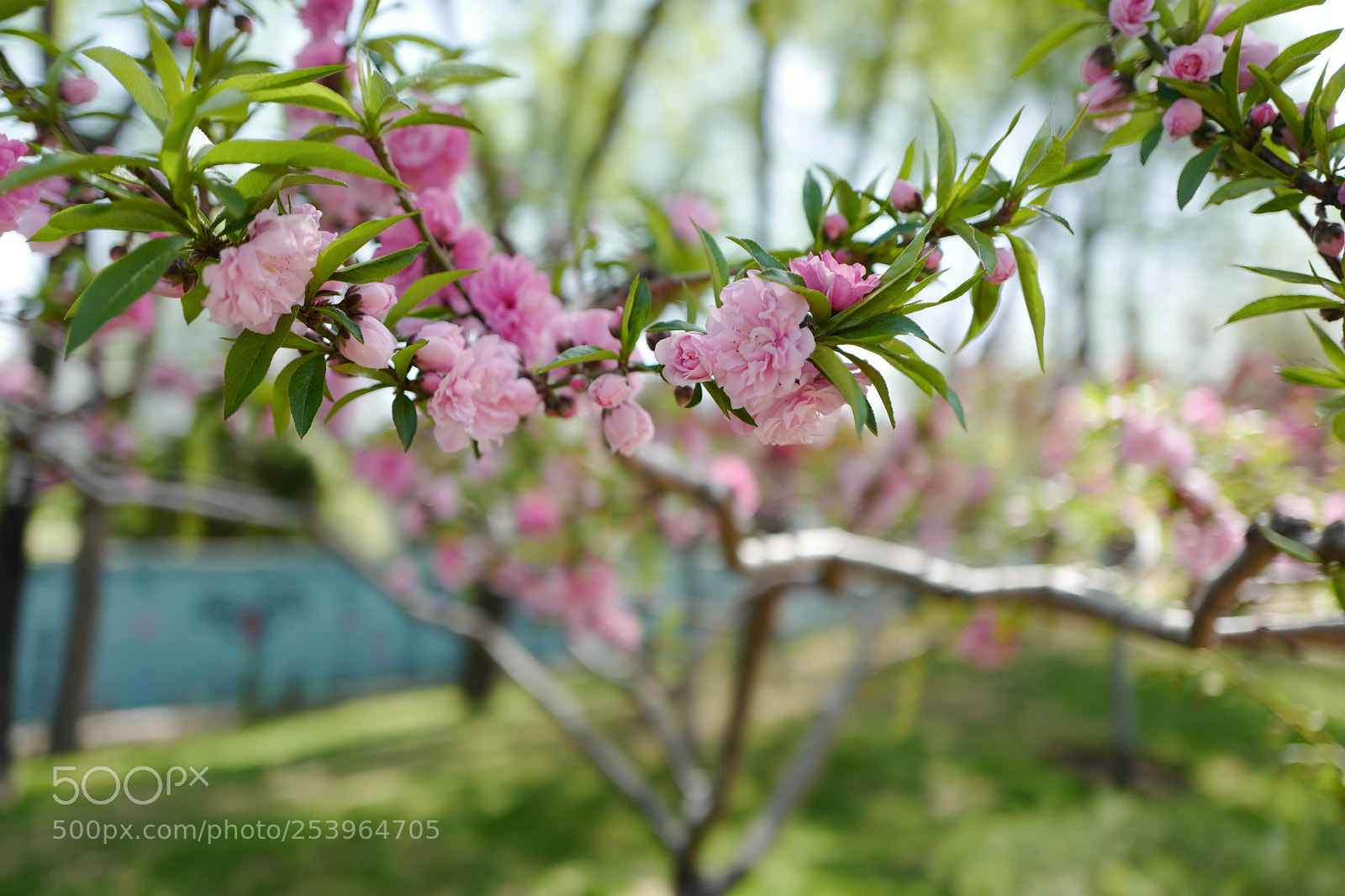 Leica Q (Typ 116) sample photo. L photography