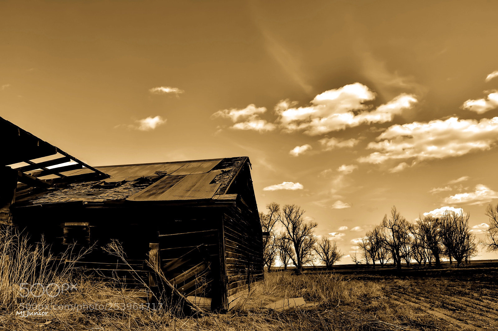 Nikon D7500 sample photo. Abandon barn 0010 photography