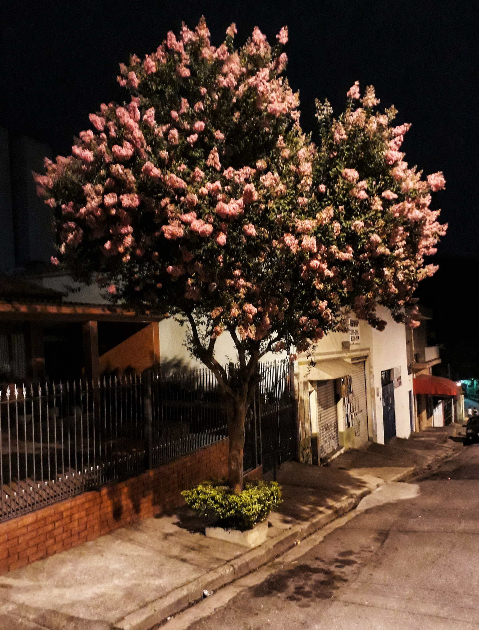 Samsung Galaxy J7 Prime sample photo