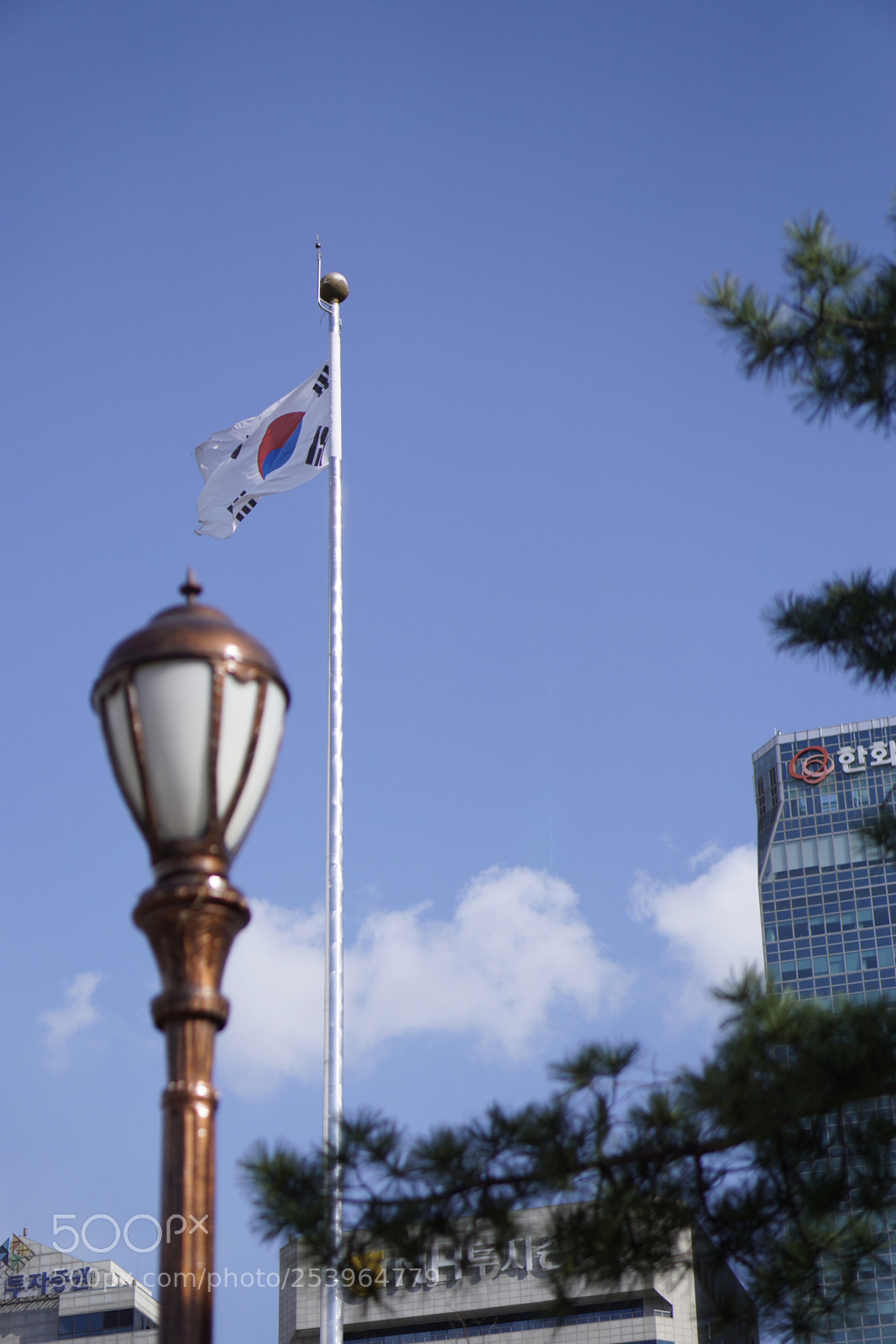 Sony a6000 sample photo. Dsc photography