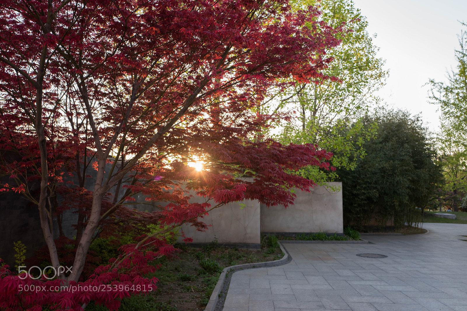 Leica Q (Typ 116) sample photo. L photography