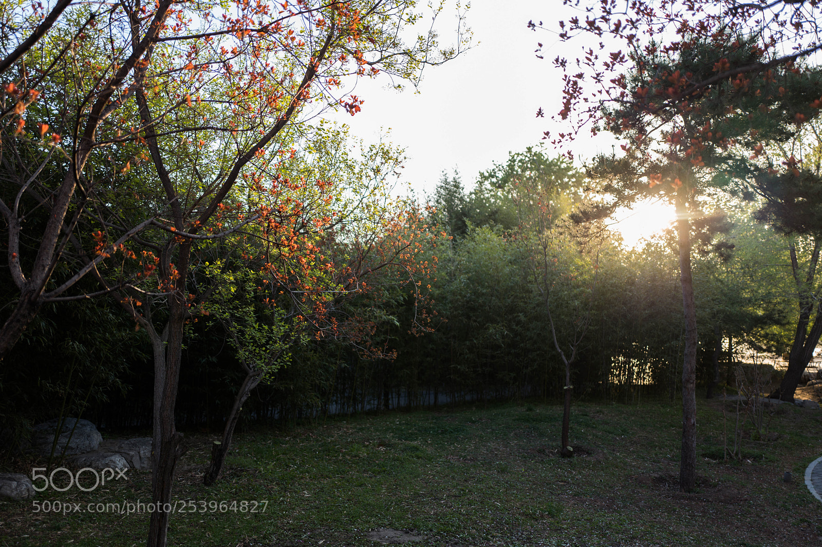 Leica Q (Typ 116) sample photo. L photography