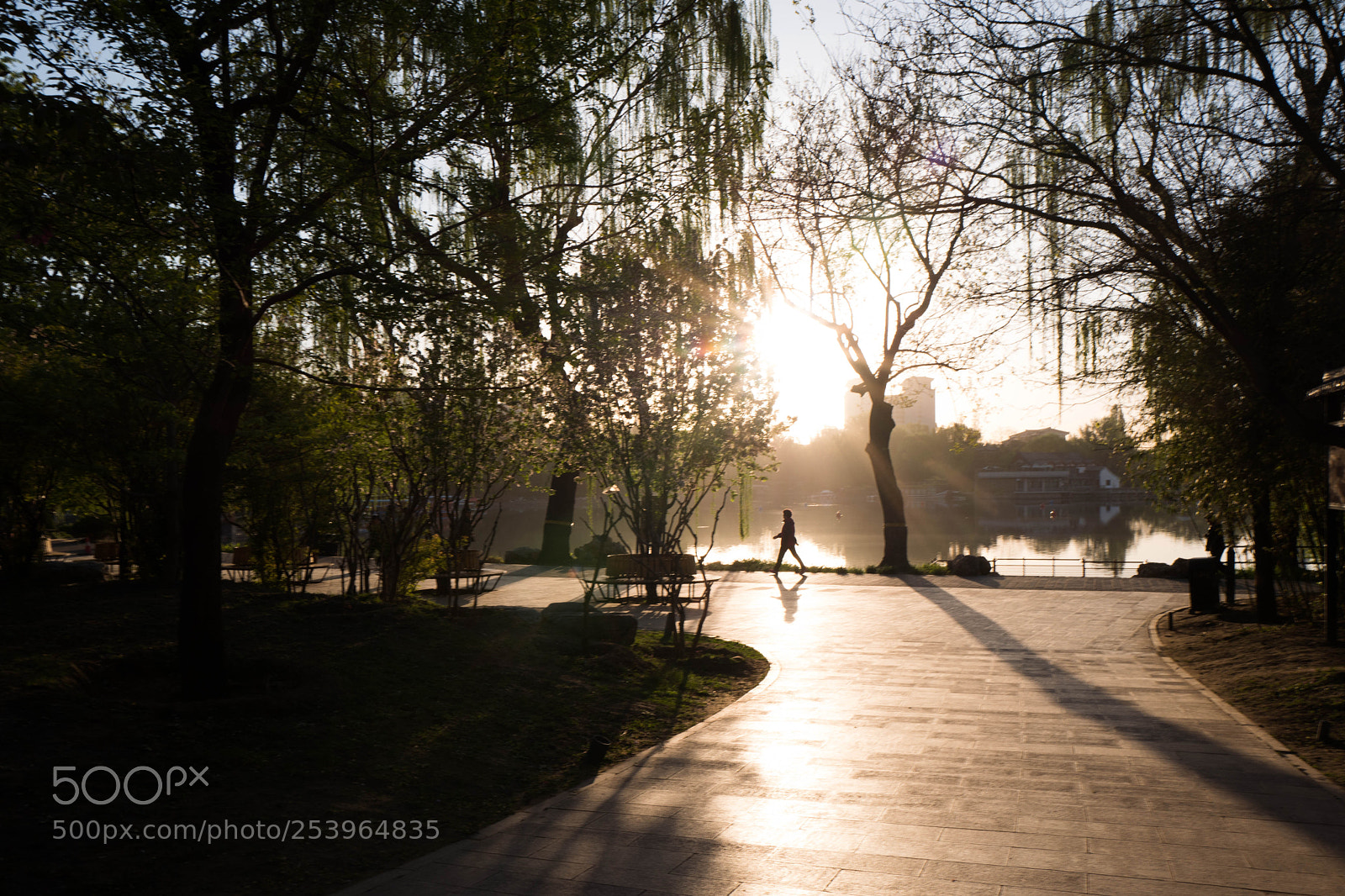 Leica Q (Typ 116) sample photo. L photography