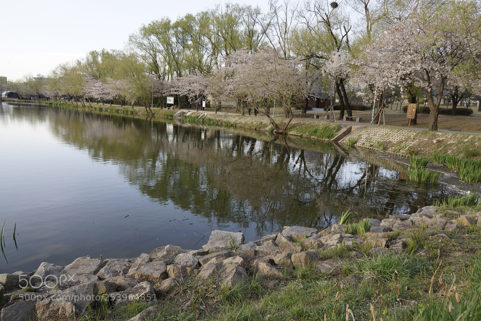 Sony a6000 sample photo. Dsc photography
