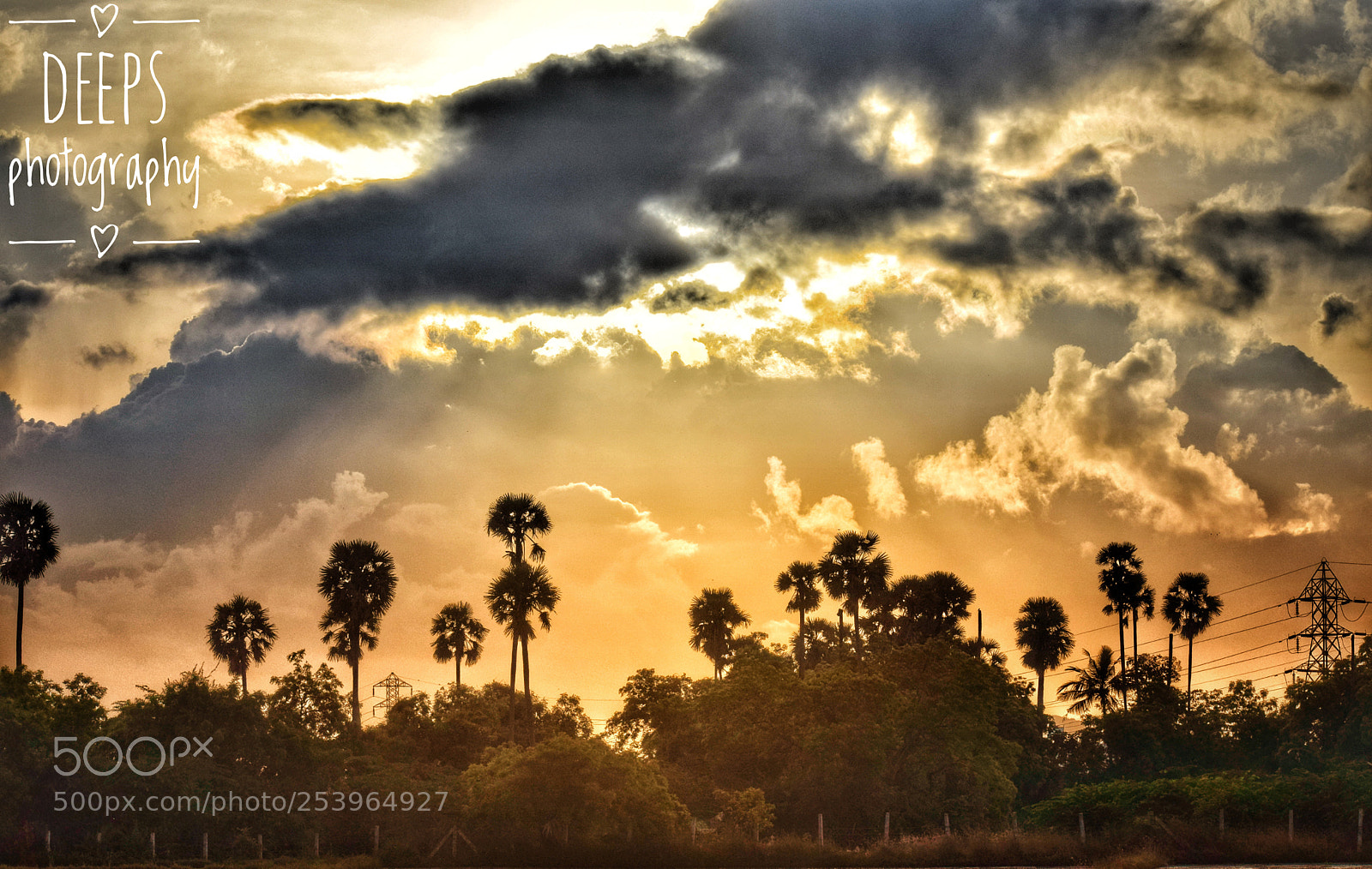 Nikon D3300 sample photo. Gud morning chennai ! photography