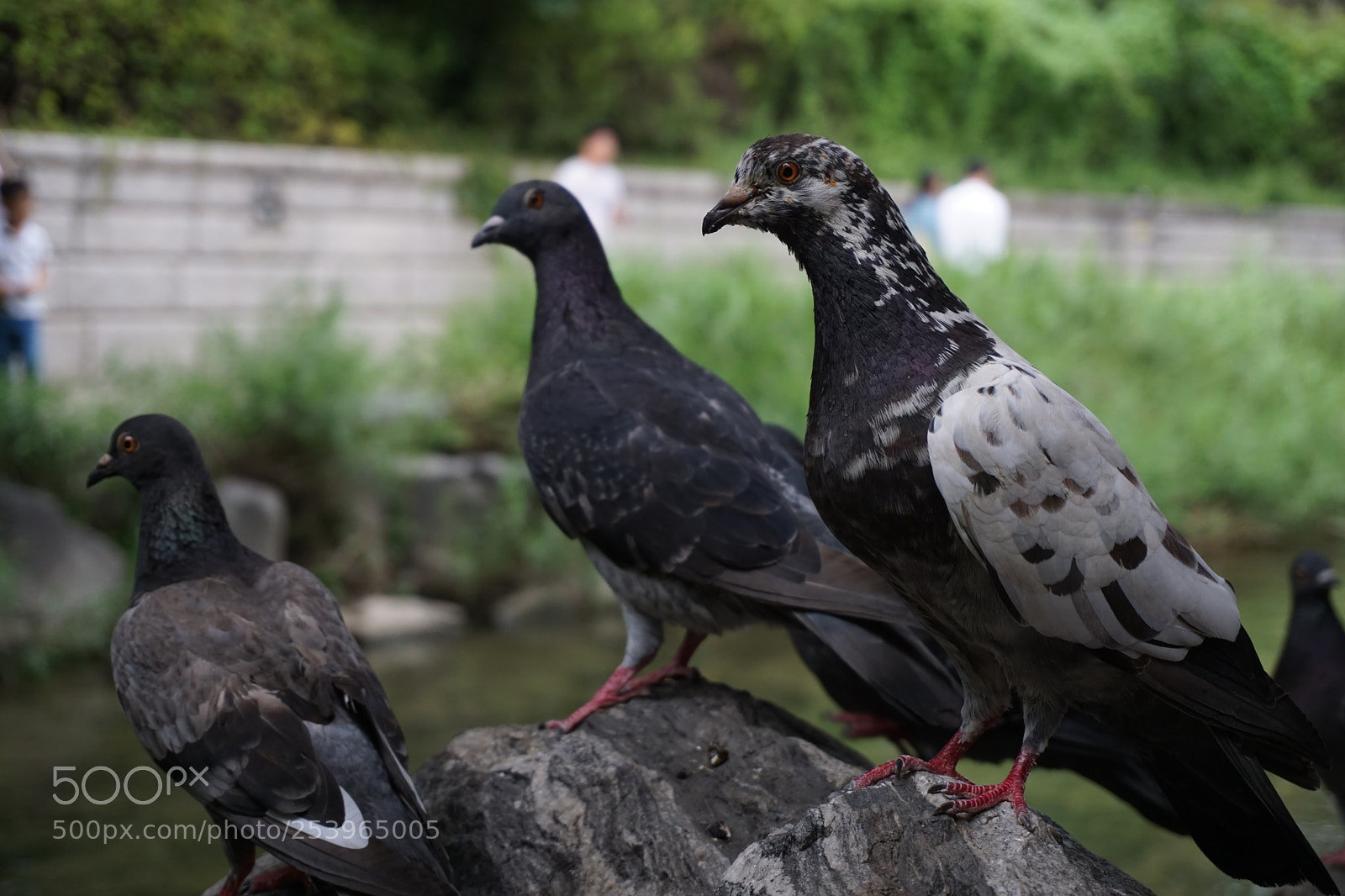 Sony a6000 sample photo. Dsc photography