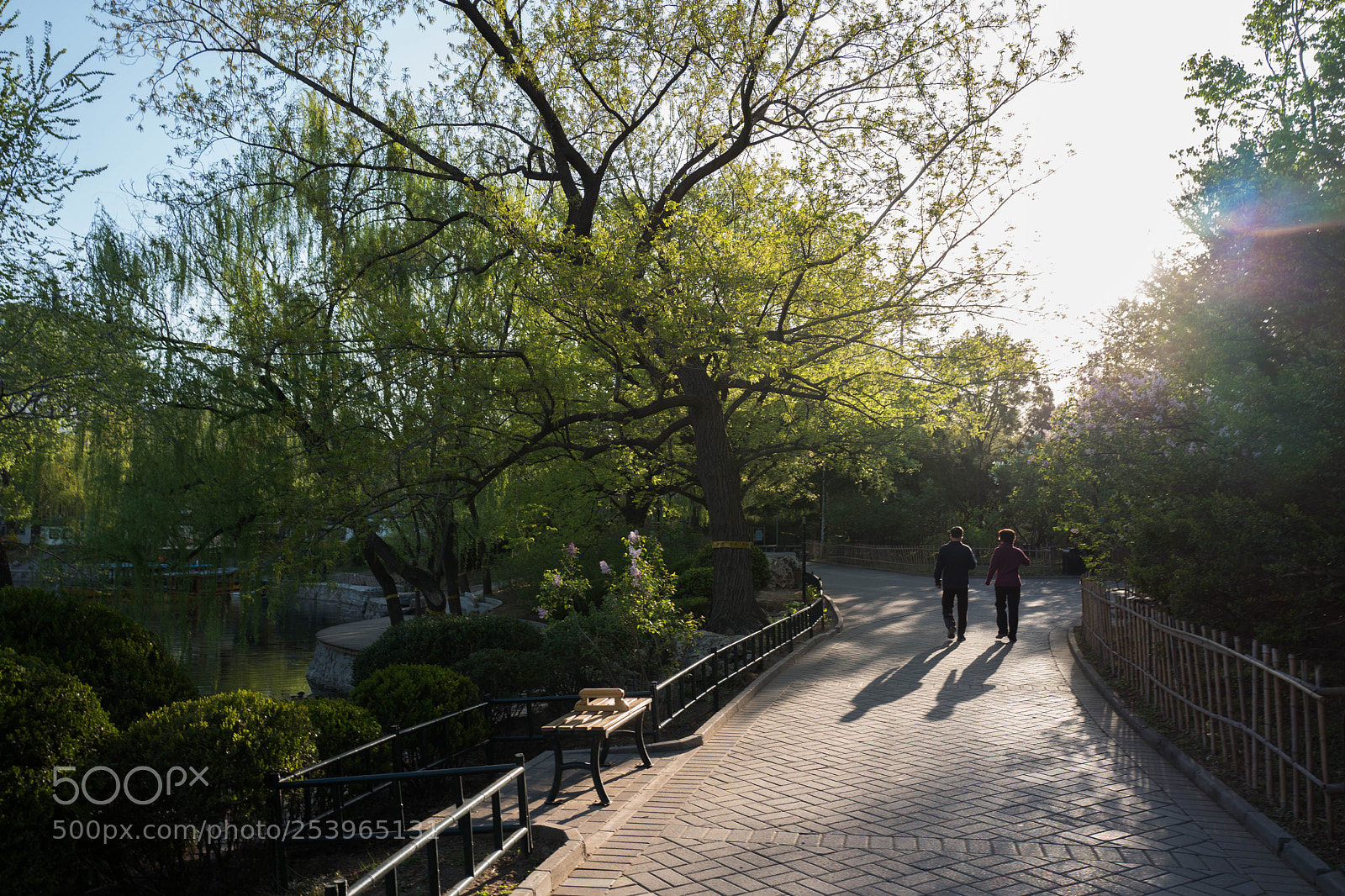 Leica Q (Typ 116) sample photo. L photography