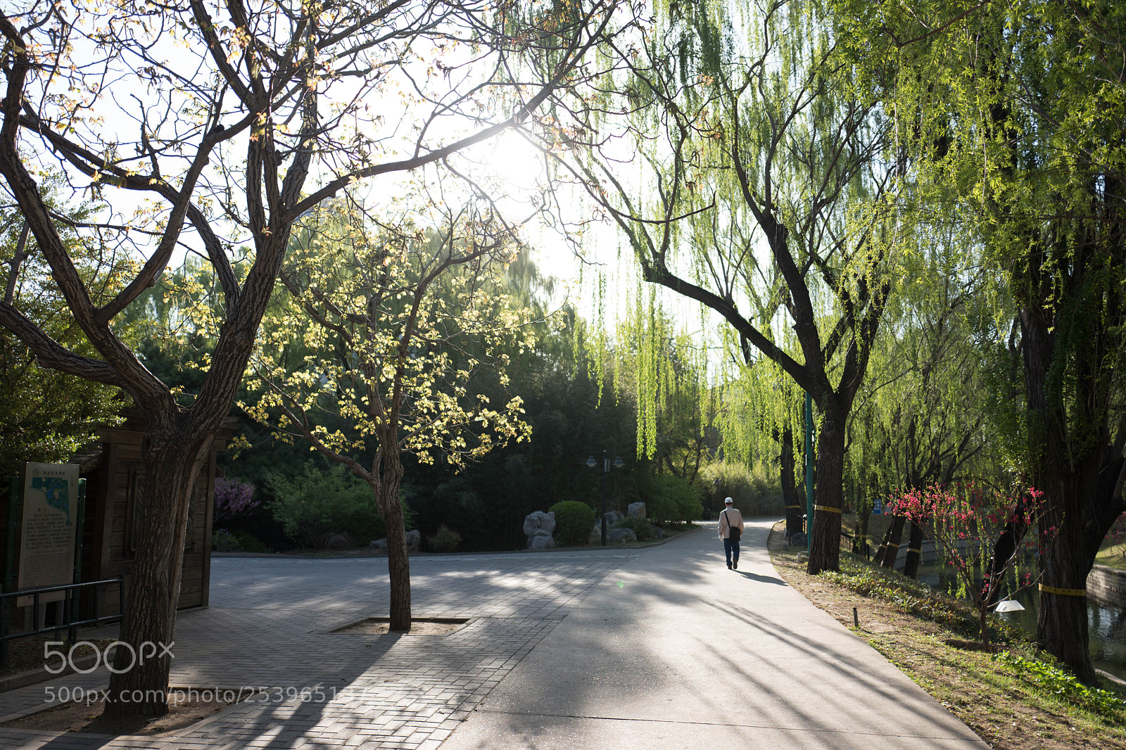 Leica Q (Typ 116) sample photo. L photography