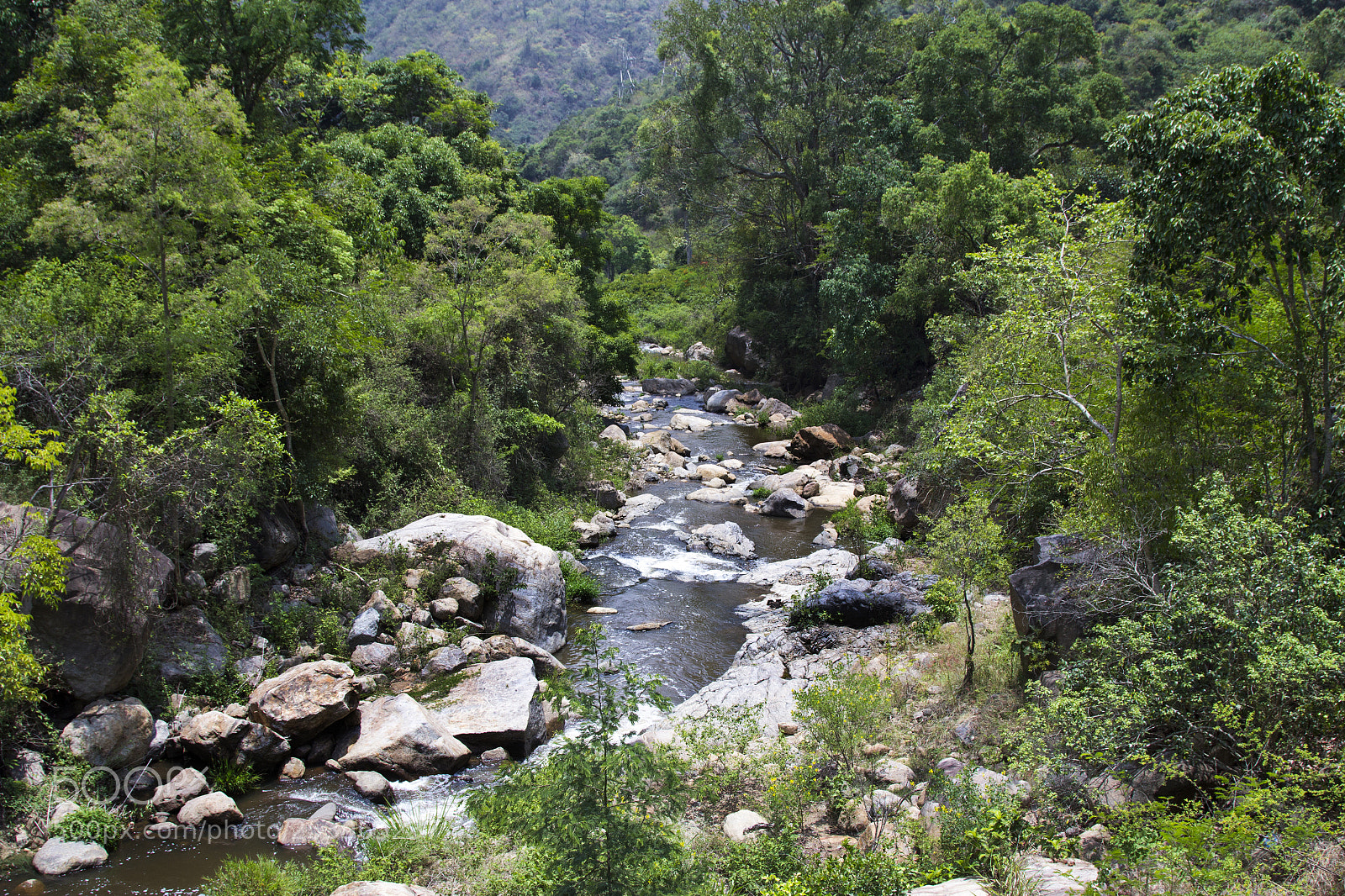 Canon EOS 60D sample photo. Life of river in photography