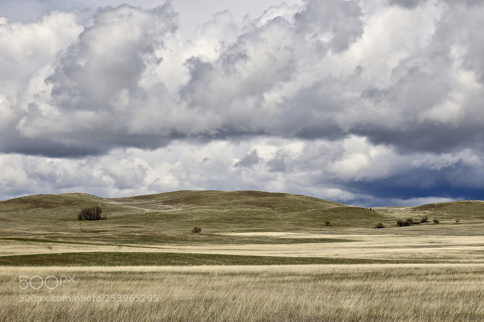 Canon EOS 7D Mark II sample photo. Hovey gulch clouds 1 photography