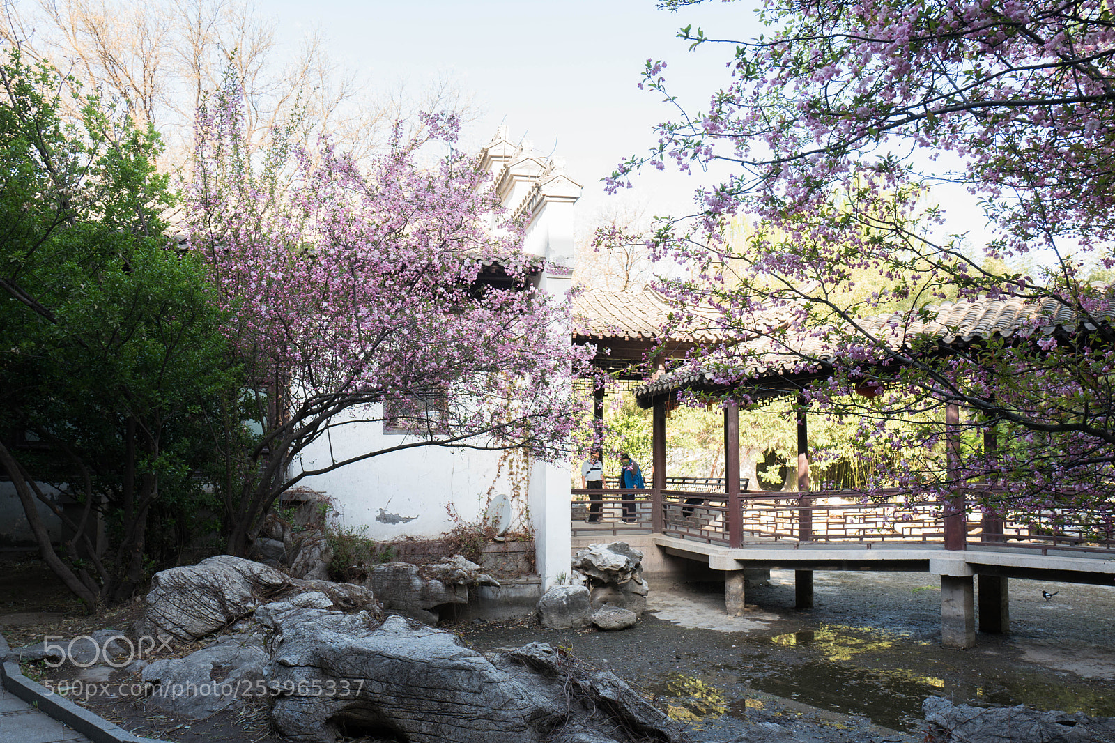 Leica Q (Typ 116) sample photo. L photography