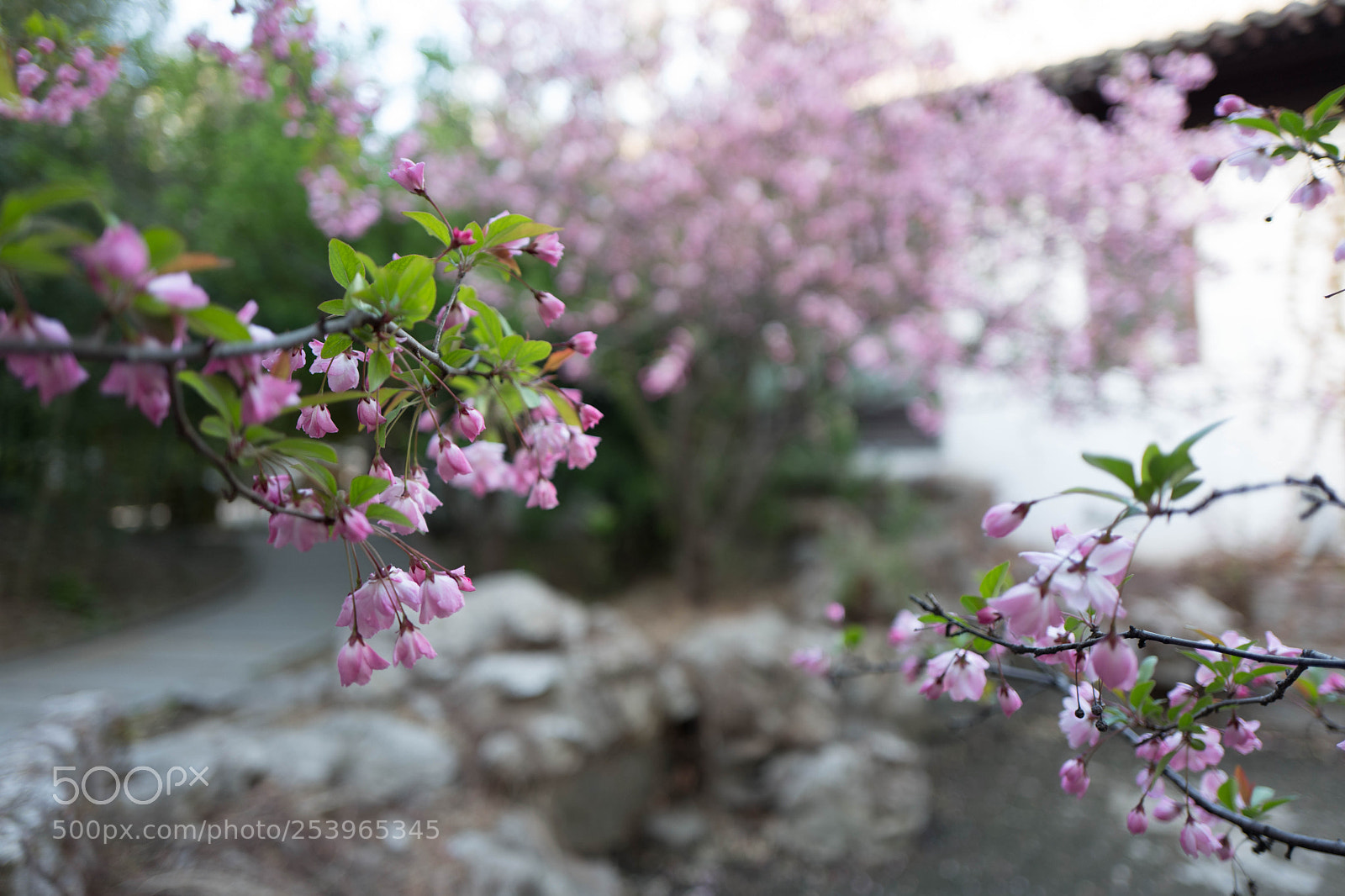 Leica Q (Typ 116) sample photo. L photography