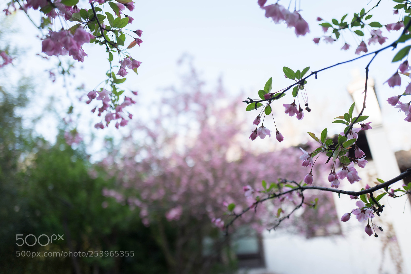 Leica Q (Typ 116) sample photo. L photography