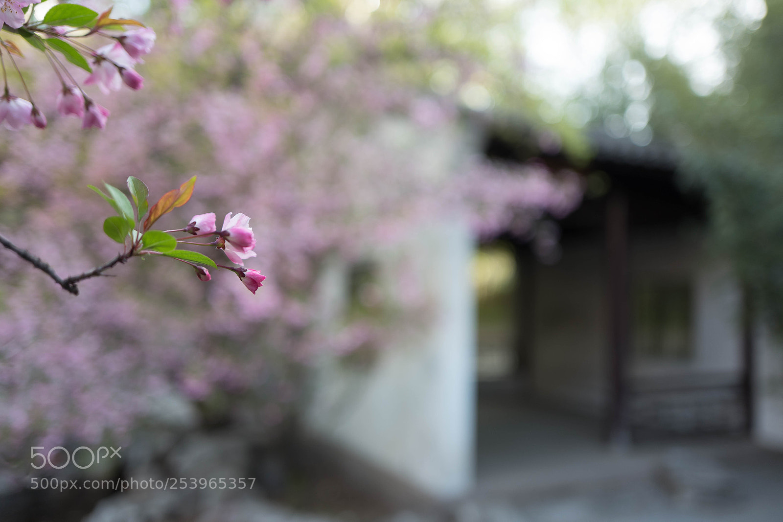 Leica Q (Typ 116) sample photo. L photography