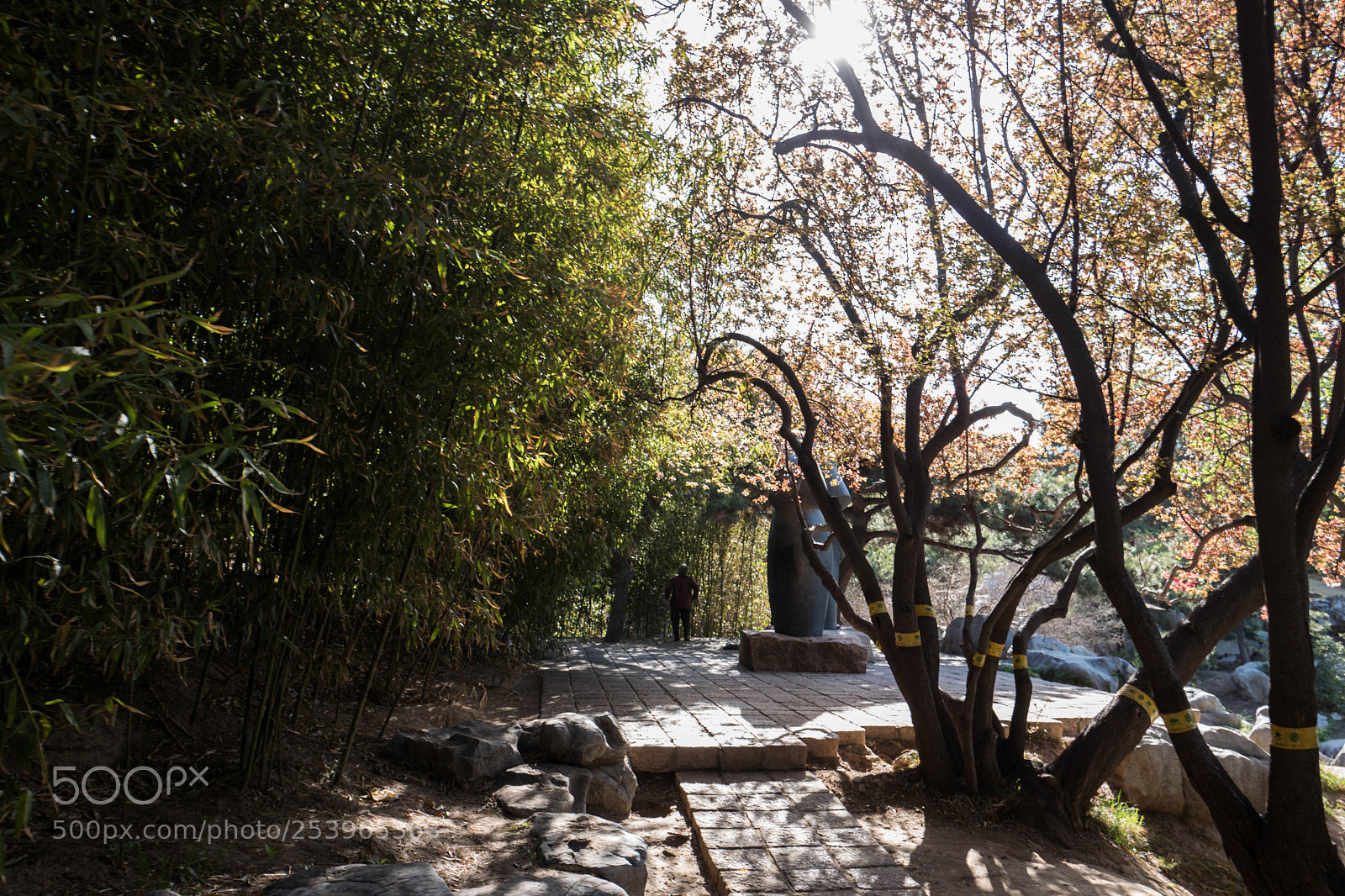 Leica Q (Typ 116) sample photo. L photography