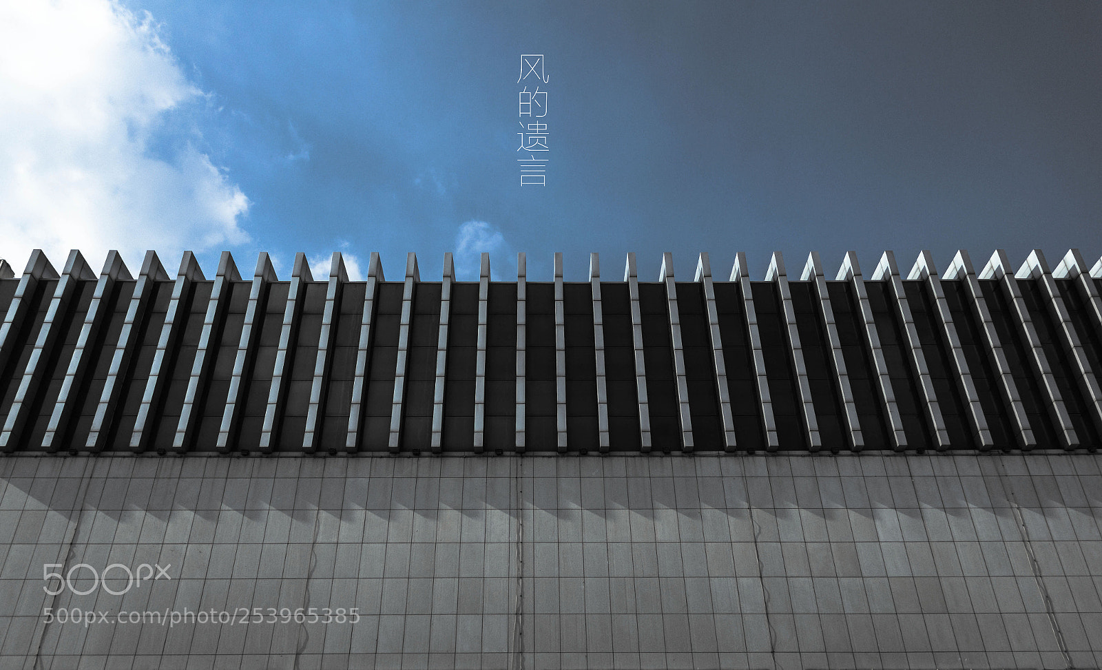 Canon EOS 60D sample photo. 风起 photography