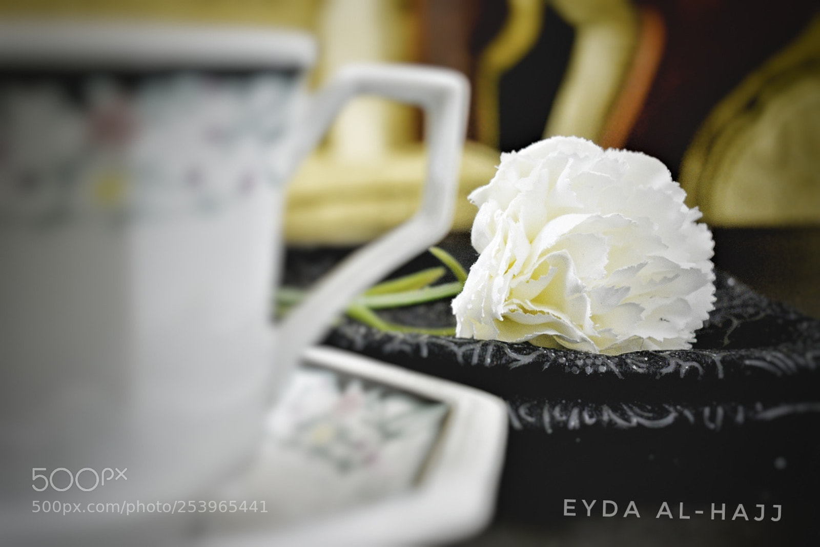 Nikon D5300 sample photo. Untitled photography