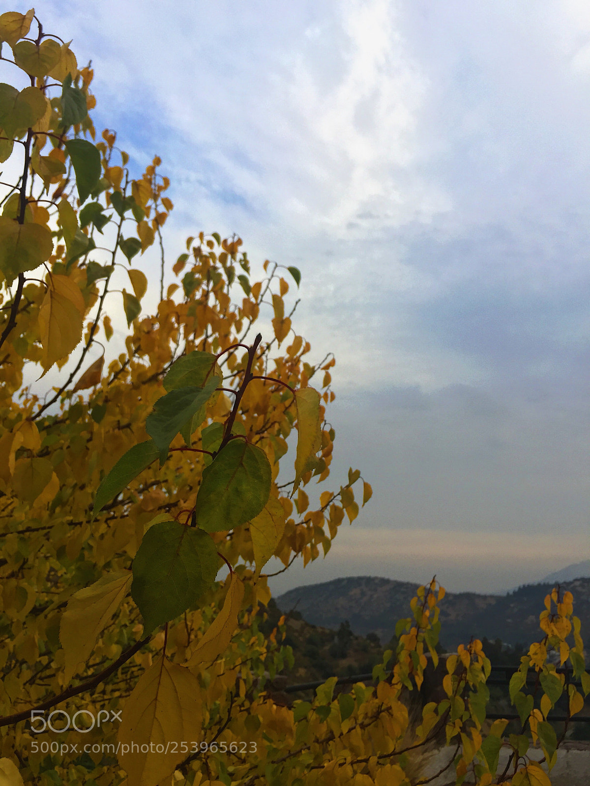 Apple iPhone 6 sample photo. Untitled photography