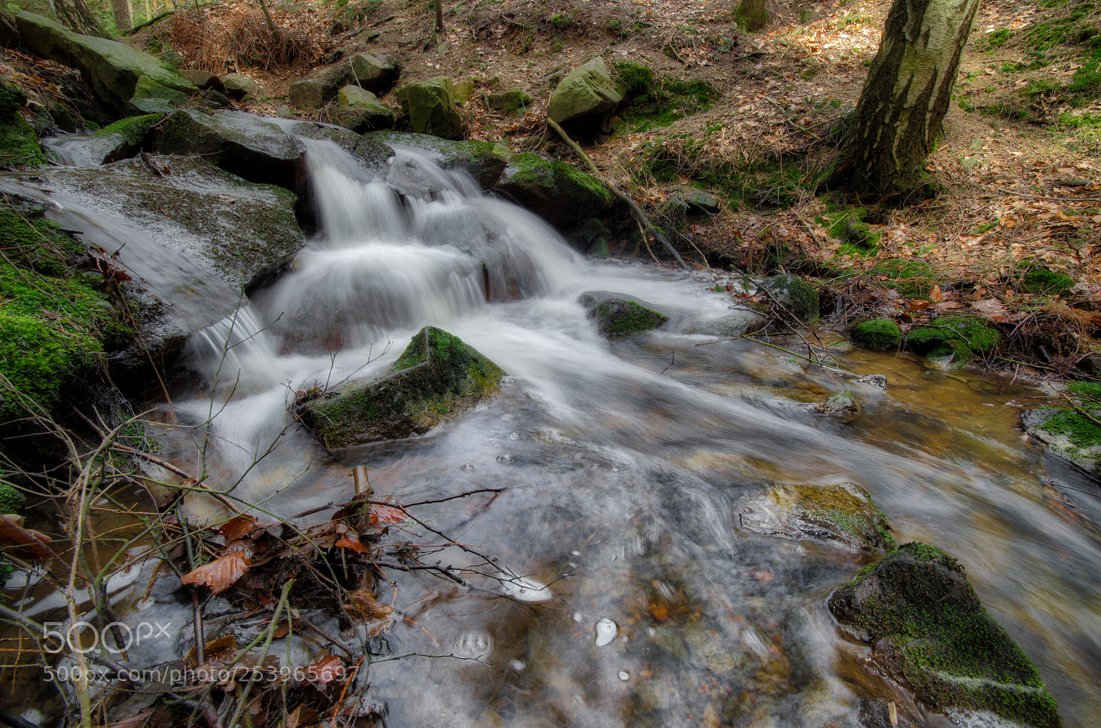 Nikon D5100 sample photo. Down photography