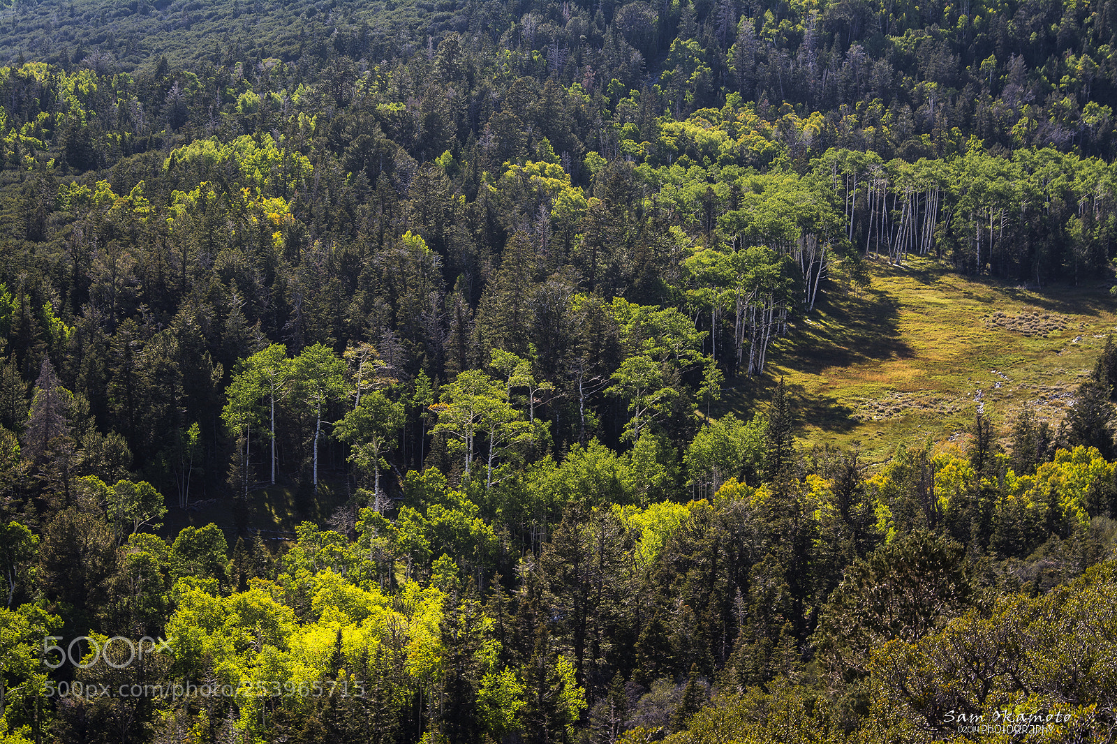 Nikon D7100 sample photo. Fall in great basin photography