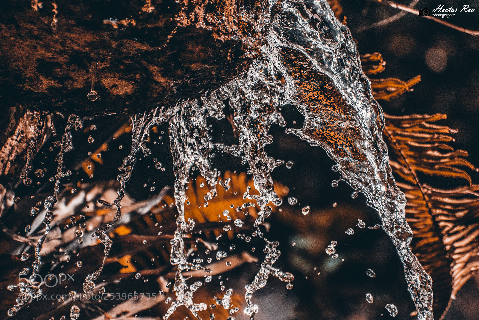 Nikon D5300 sample photo. Ice photography